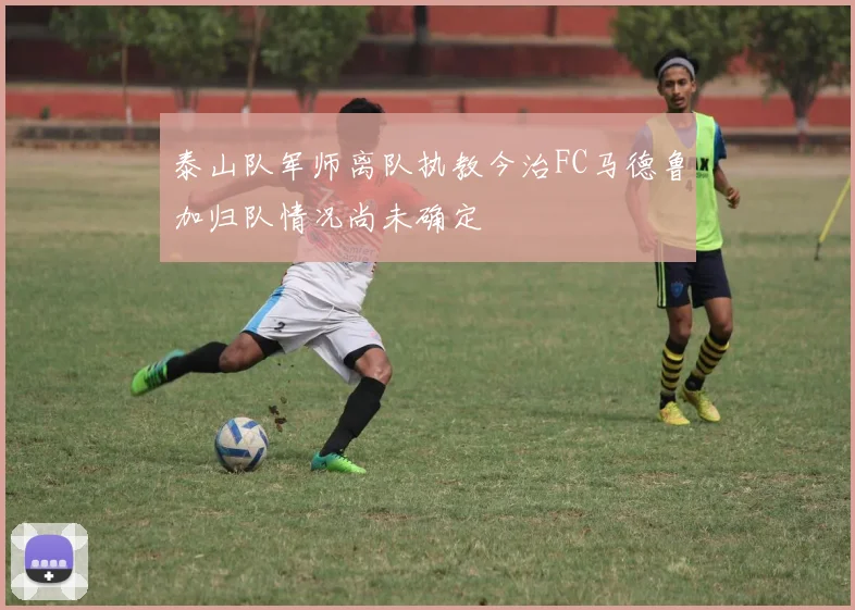 泰山队军师离队执教今治FC马德鲁加归队情况尚未确定