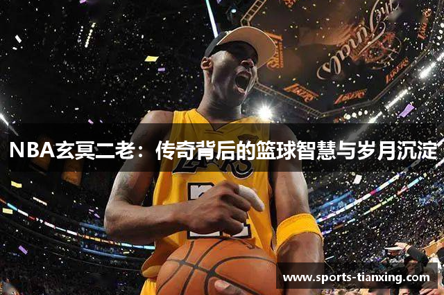 NBA玄冥二老：传奇背后的篮球智慧与岁月沉淀